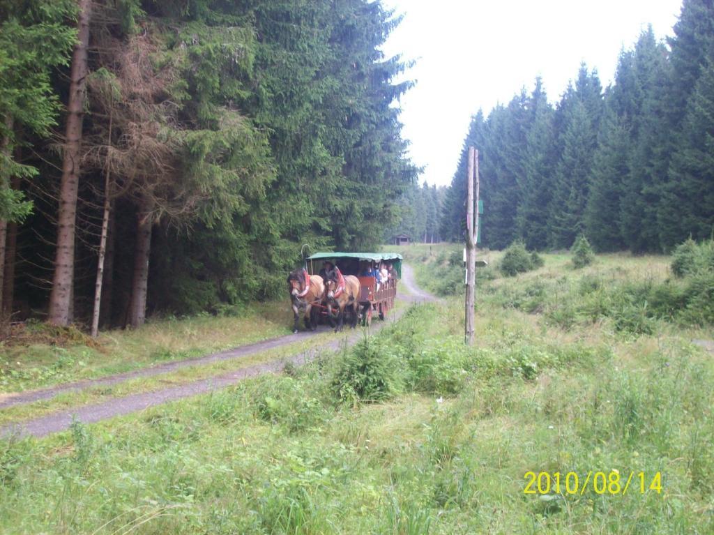 Hotel Burghof Oberweißbach Rom bilde